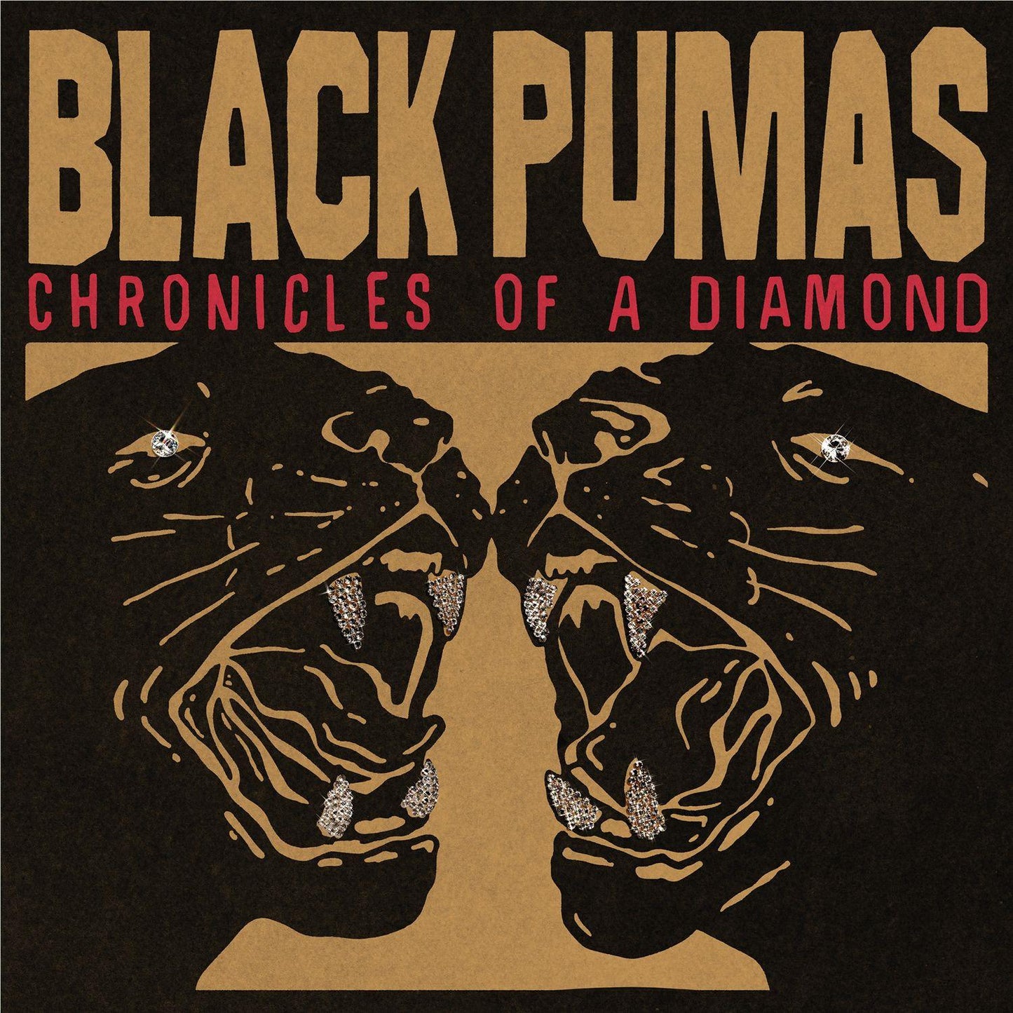 Black Pumas - Chronicles Of A Diamond - Clear Vinyl LP Record