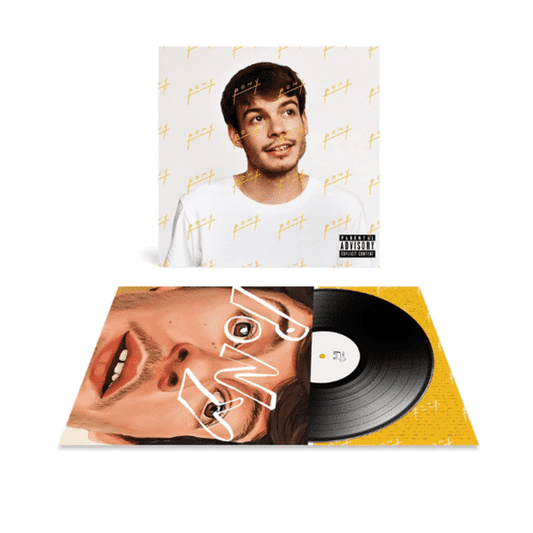 Rex Orange County ‎-  Pony - Vinyl LP Record