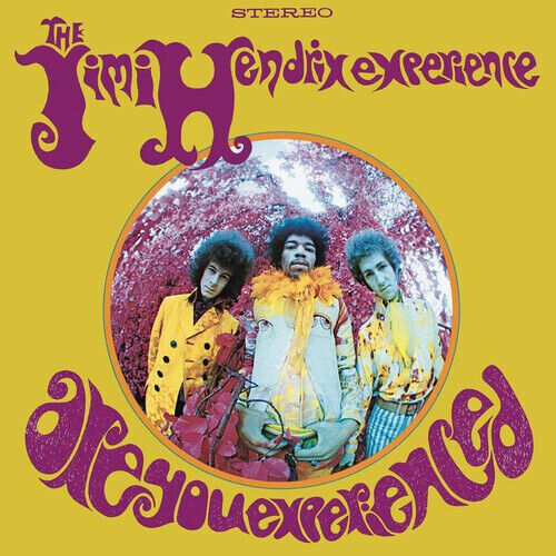 The Jimi Hendrix Experience - Are You Experienced - Alternate Cover Vinyl LP Record