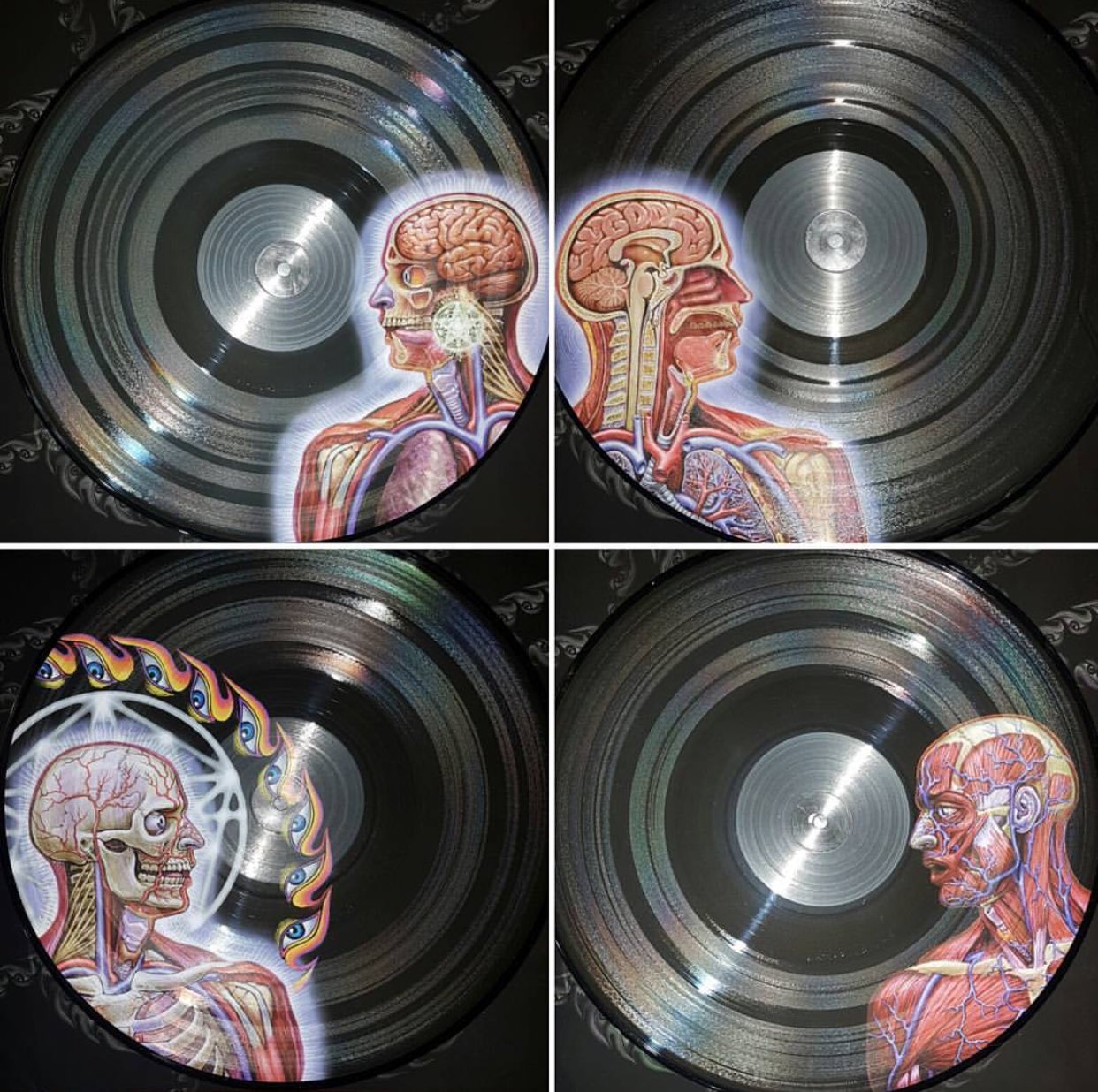 Tool - Lateralus - Limited Edition Picture Disc Vinyl LP Record